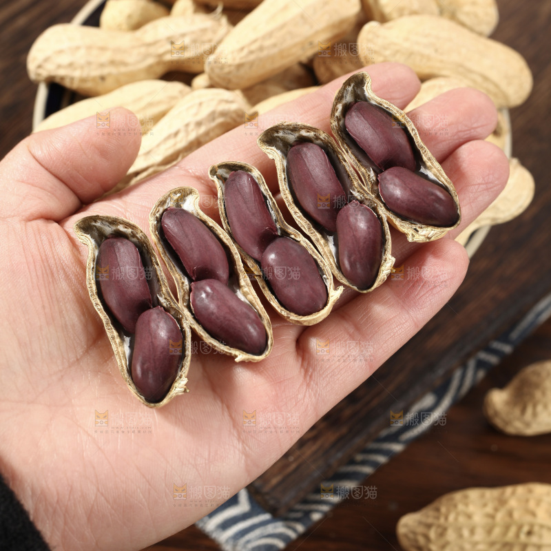 黑皮花生