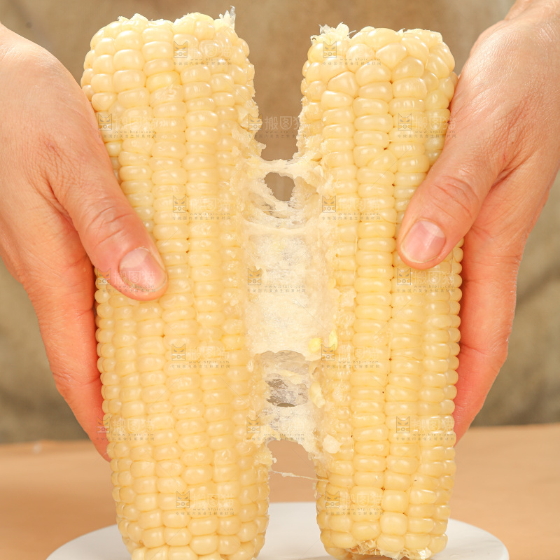 白糯玉米