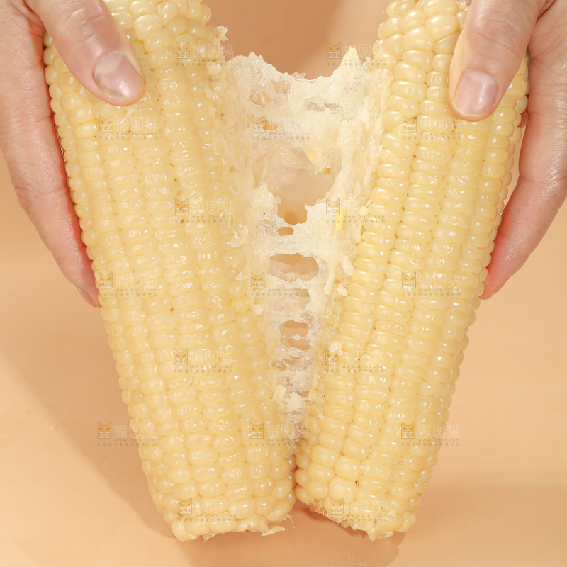 白糯玉米