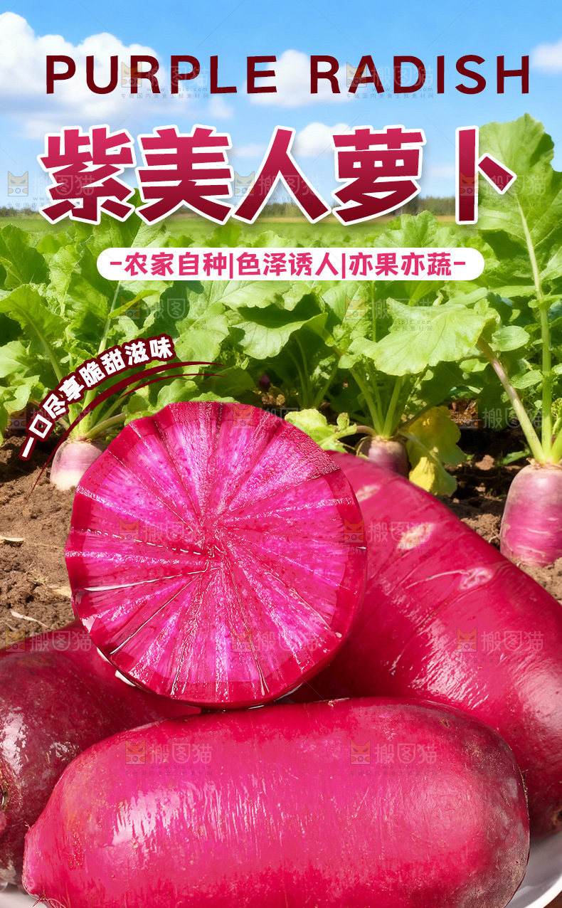 紫美人萝卜详情页