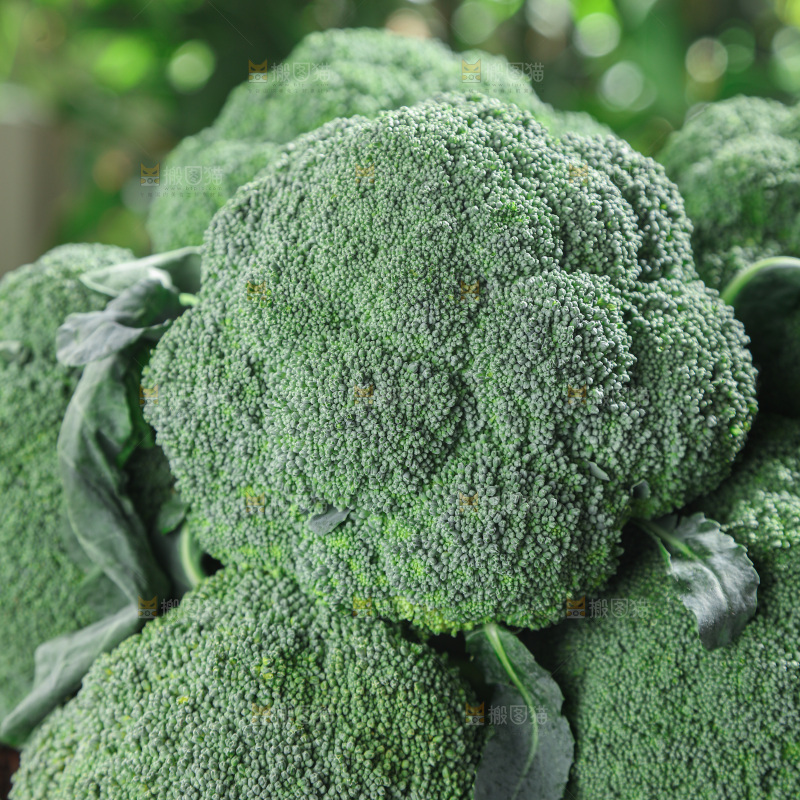 西兰花