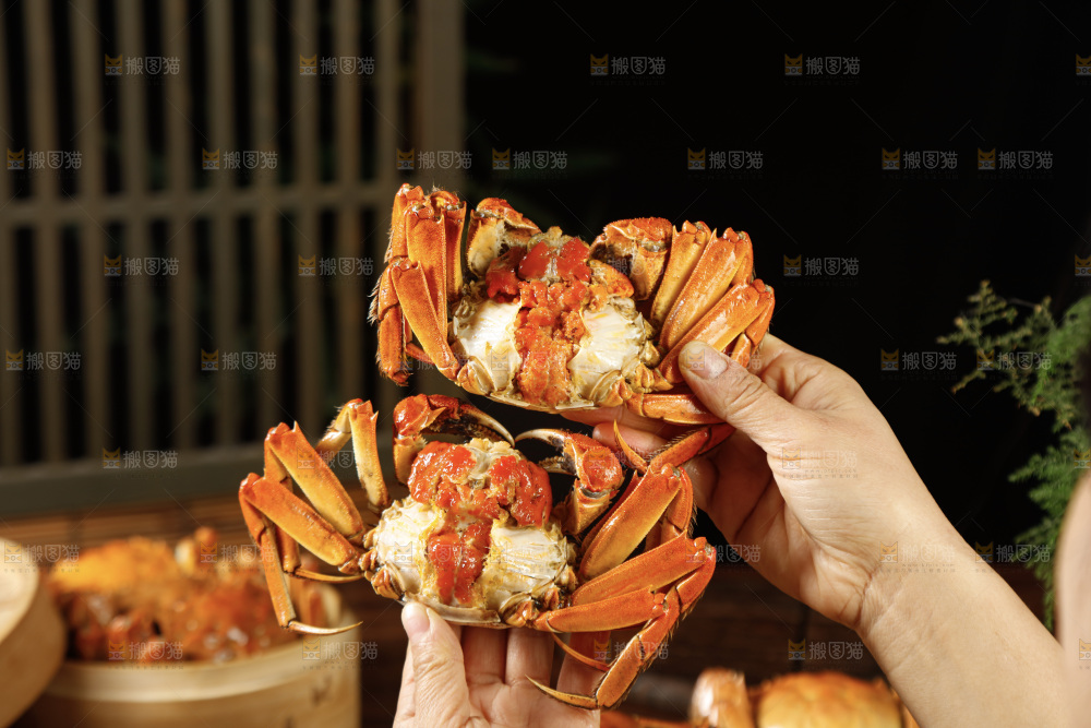 大闸蟹