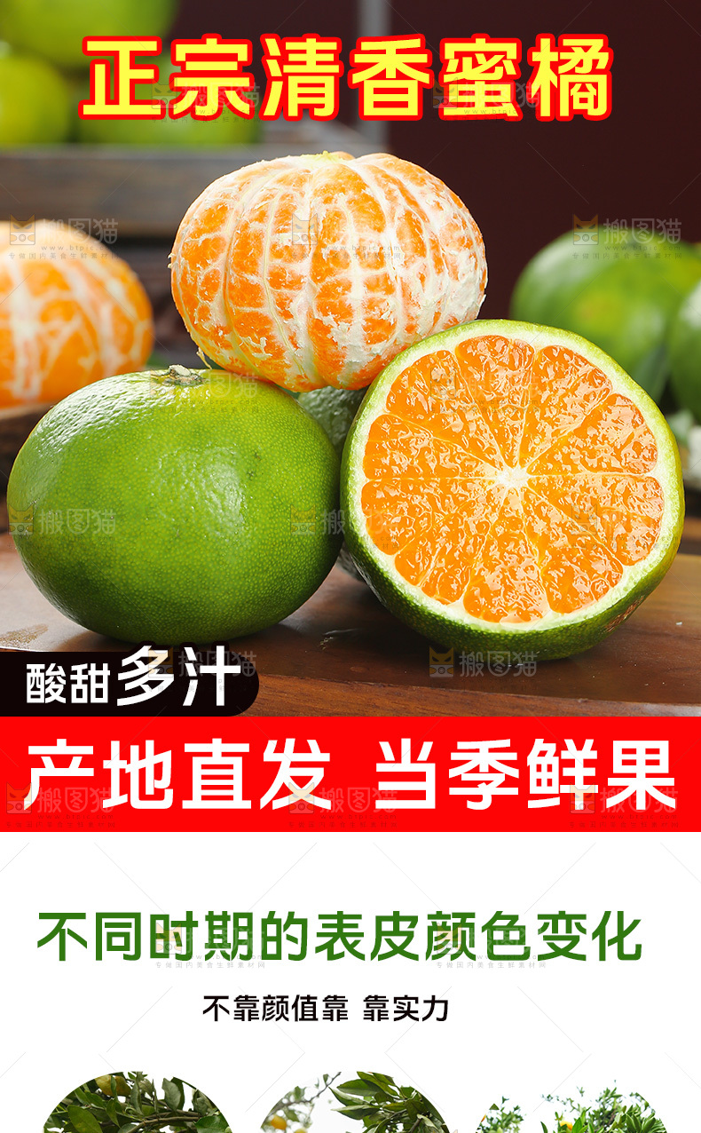 清香蜜桔详情页