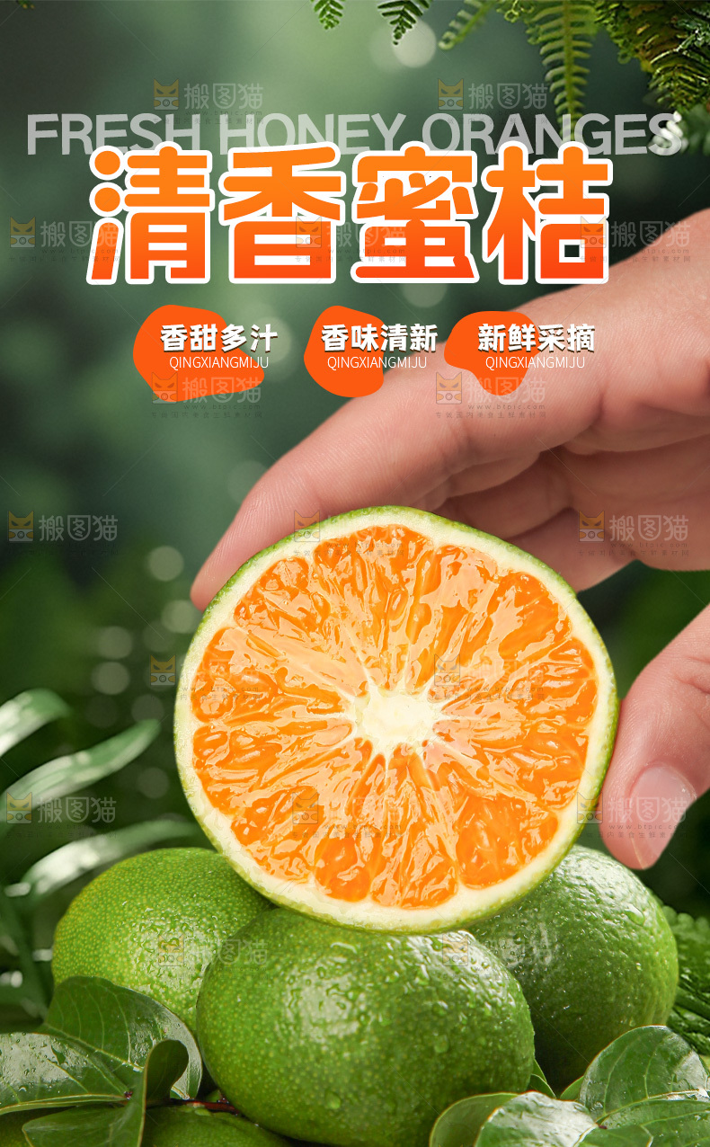 新鲜蜜桔详情页