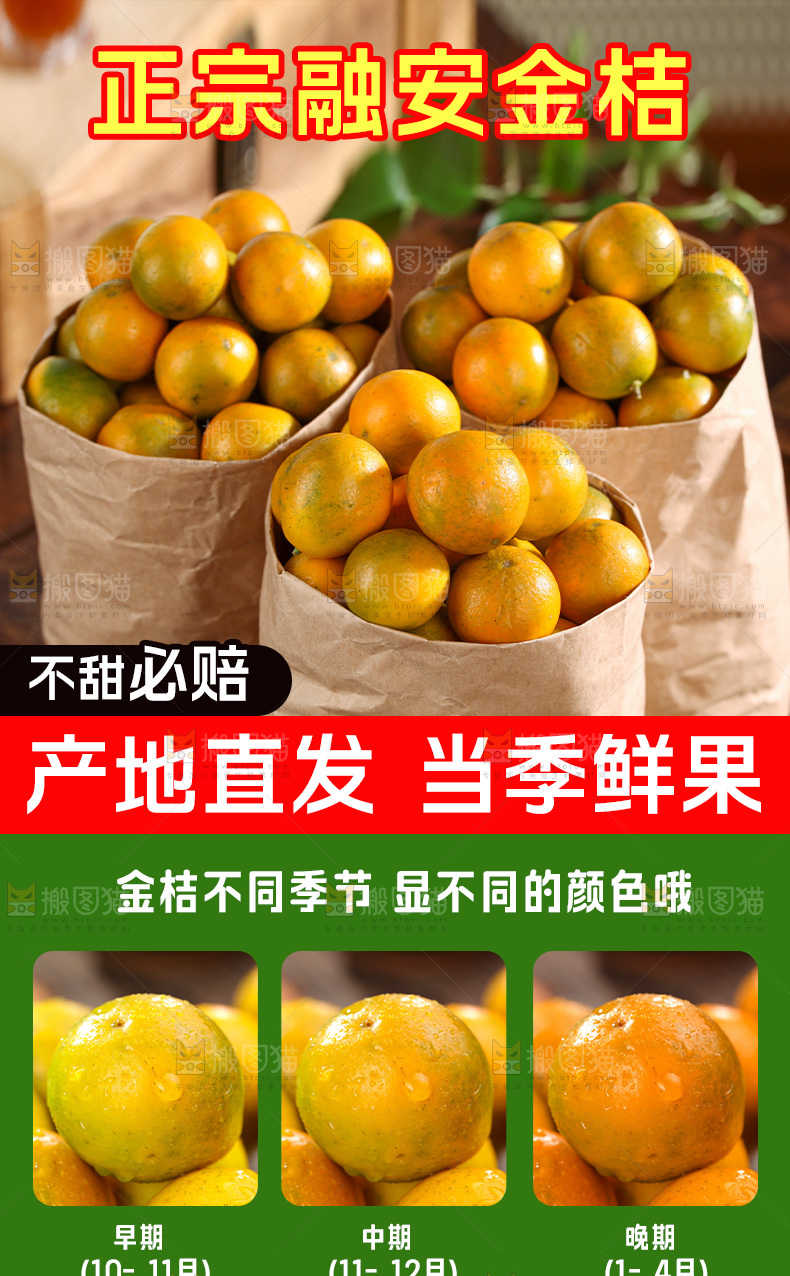 脆皮金桔详情页