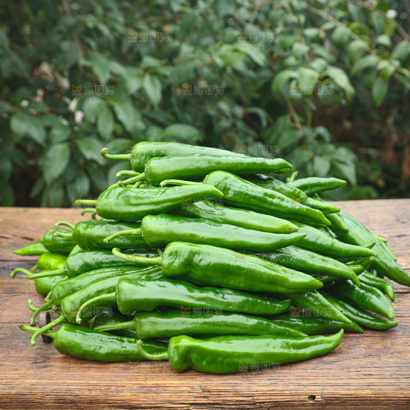 辣椒