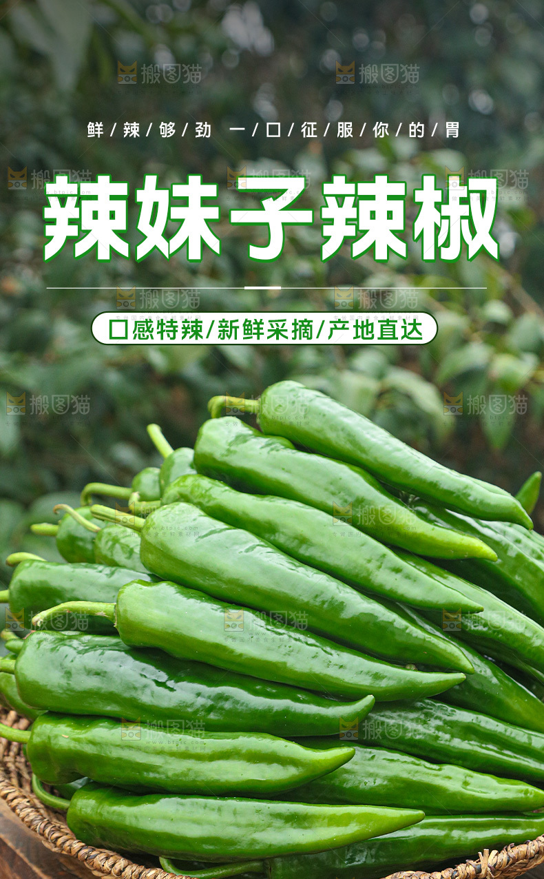 辣妹子辣椒详情页