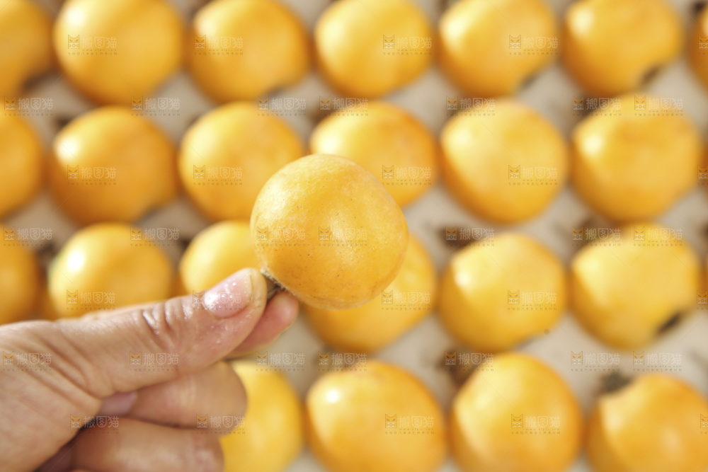 白玉枇杷