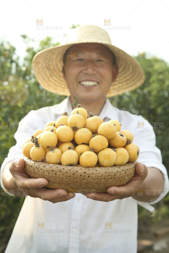 白玉枇杷