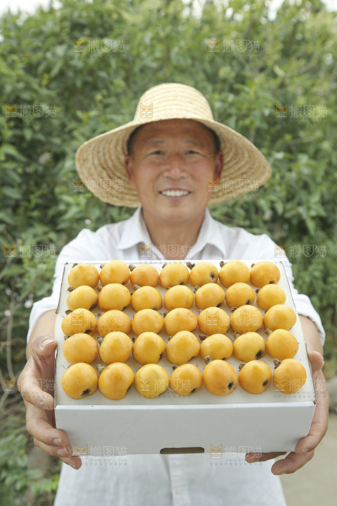 白玉枇杷