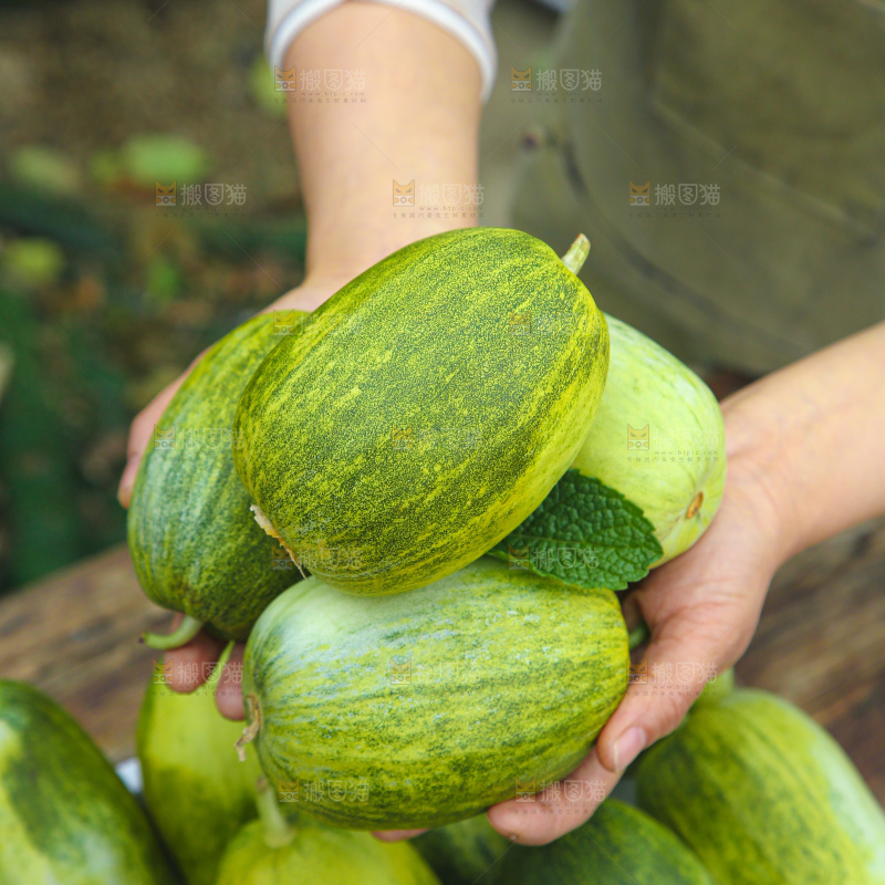 星甜金冠蜜瓜