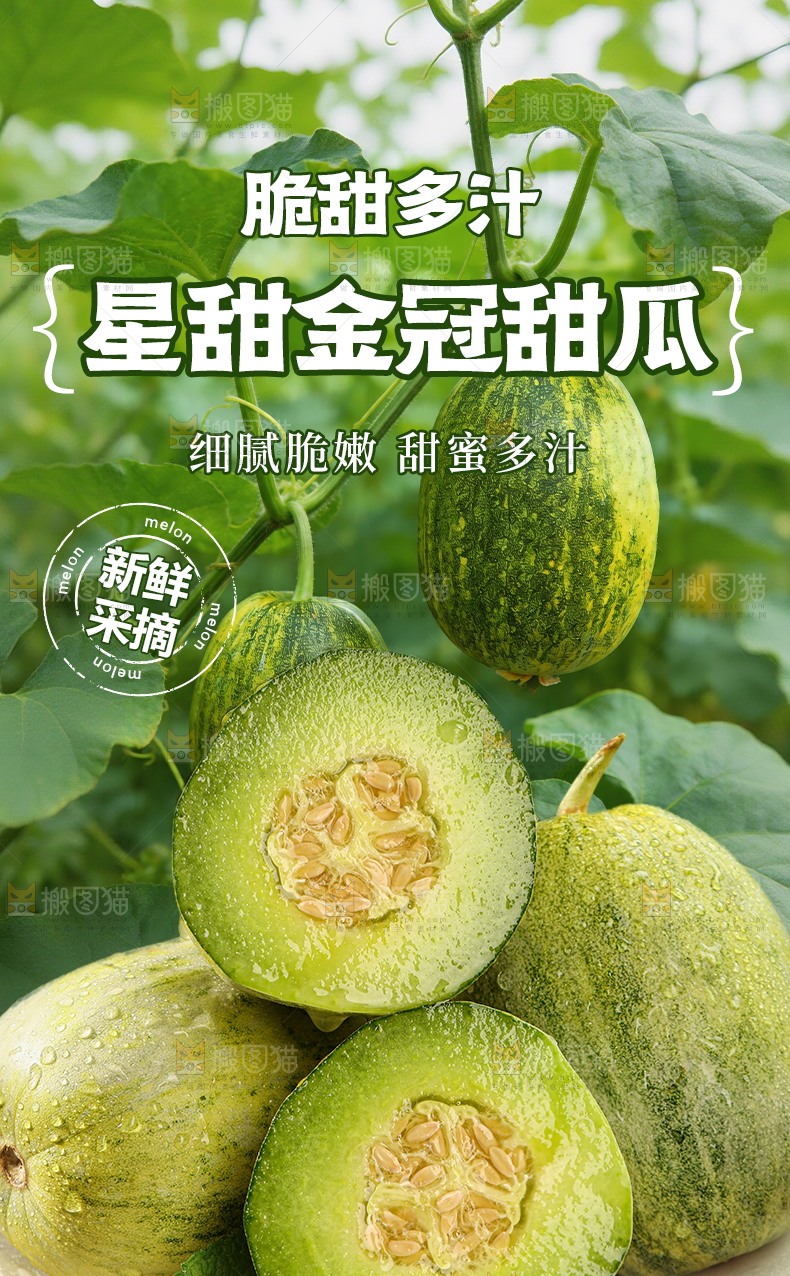 金冠蜜瓜详情页