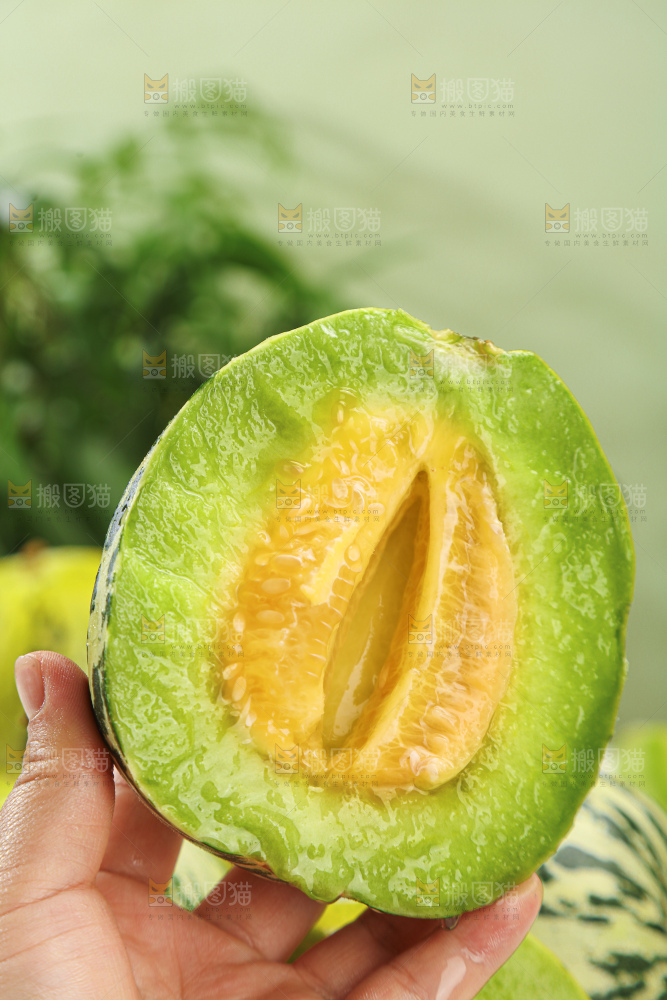 花蕾甜瓜