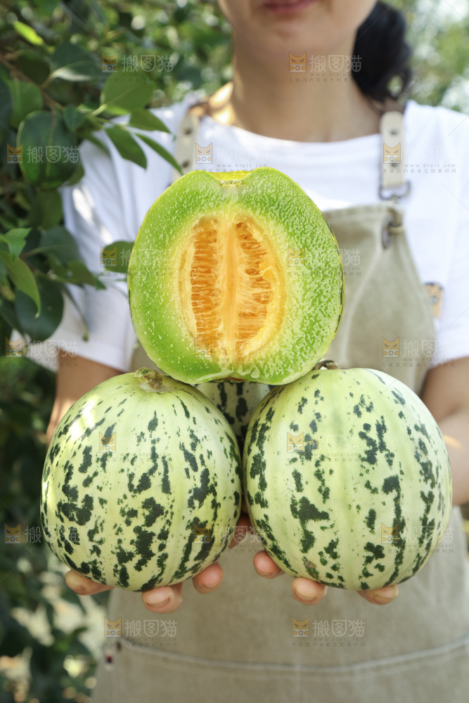 花蕾甜瓜