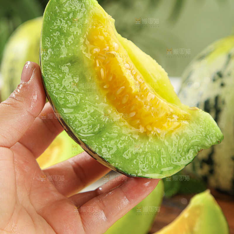 花蕾甜瓜