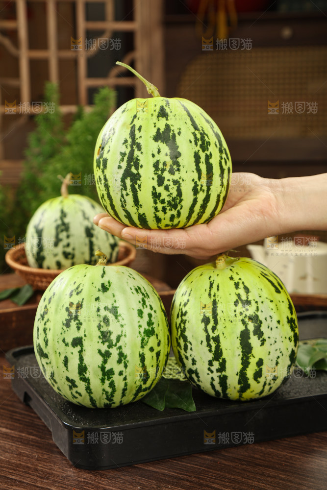花蕾甜瓜