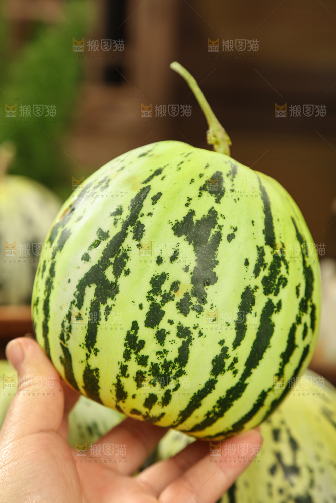 花蕾甜瓜