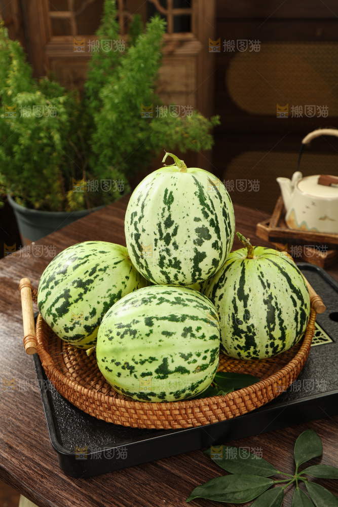 花蕾甜瓜