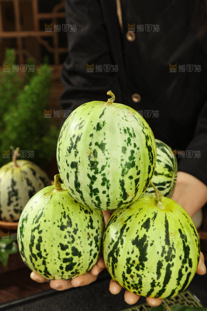 花蕾甜瓜