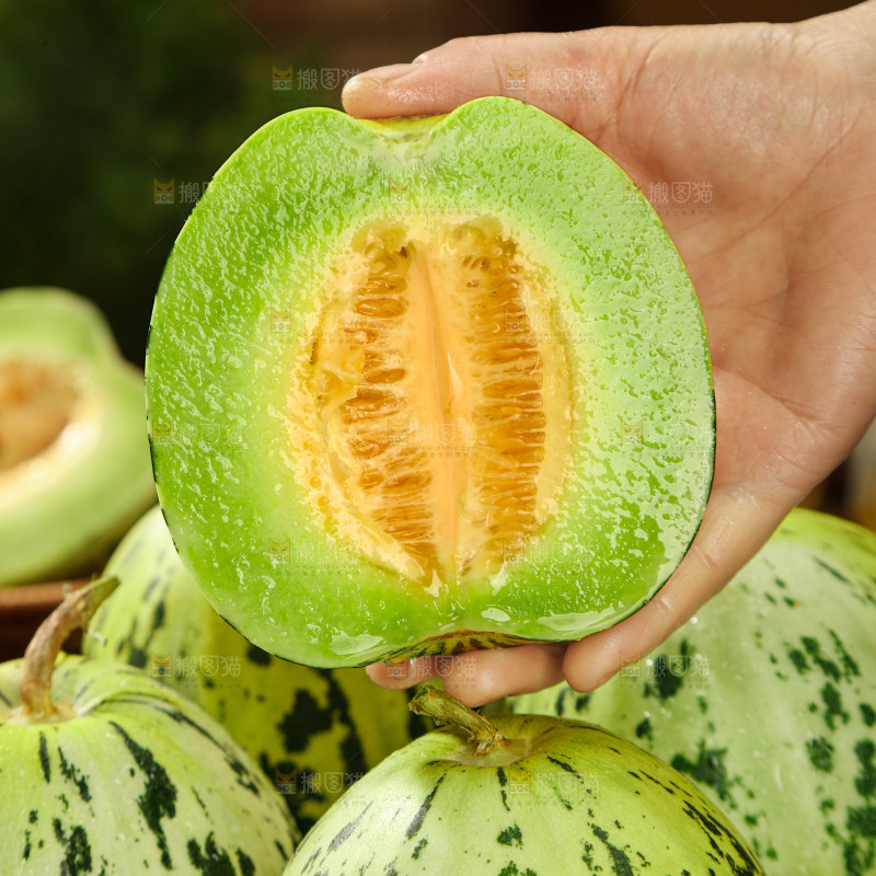 花蕾甜瓜