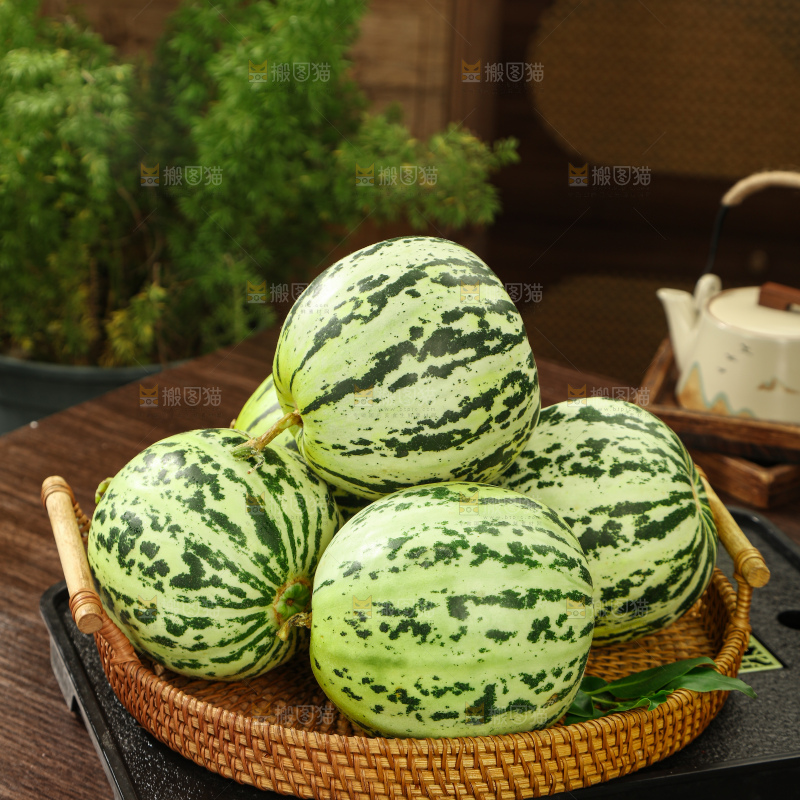 花蕾甜瓜