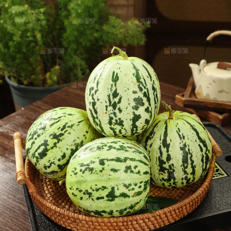 花蕾甜瓜