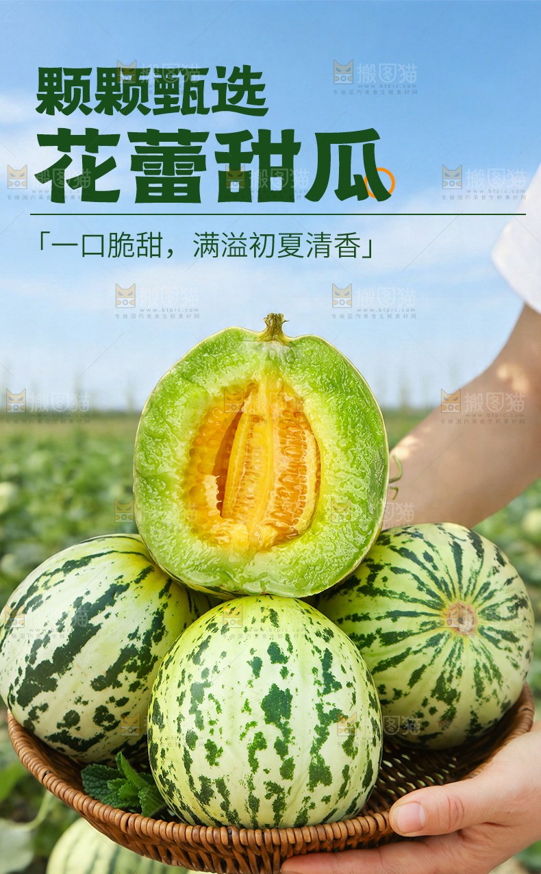 花蕾甜瓜详情页