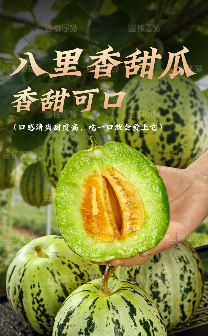 八里香甜瓜详情页