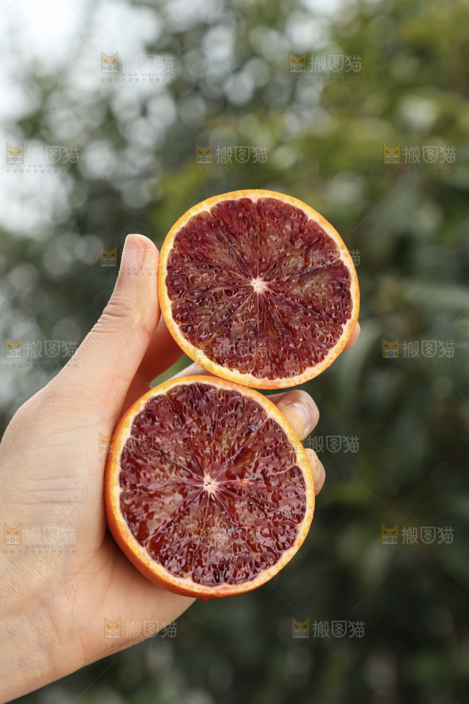 塔罗科血橙