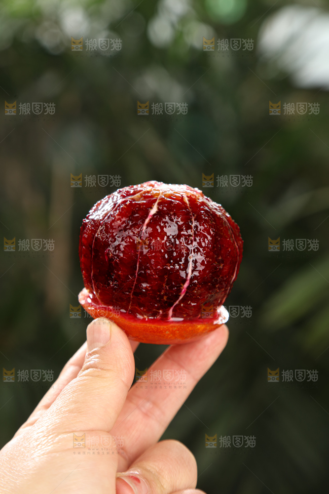 塔罗科血橙