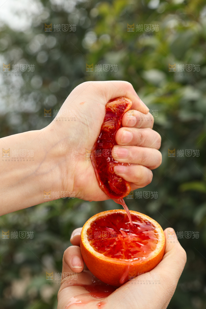 塔罗科血橙
