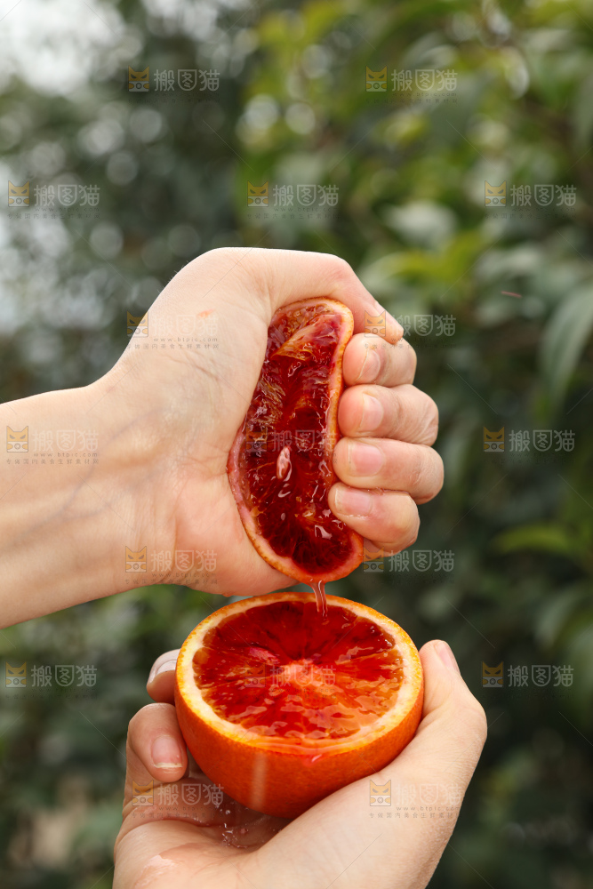塔罗科血橙