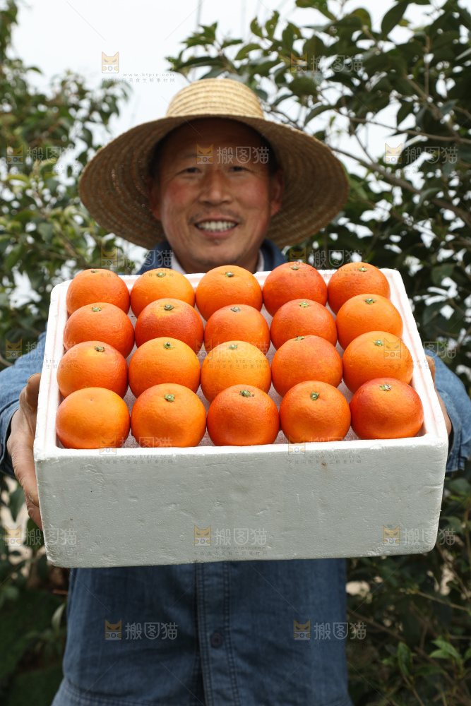 塔罗科血橙