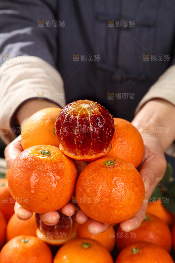 塔罗科血橙