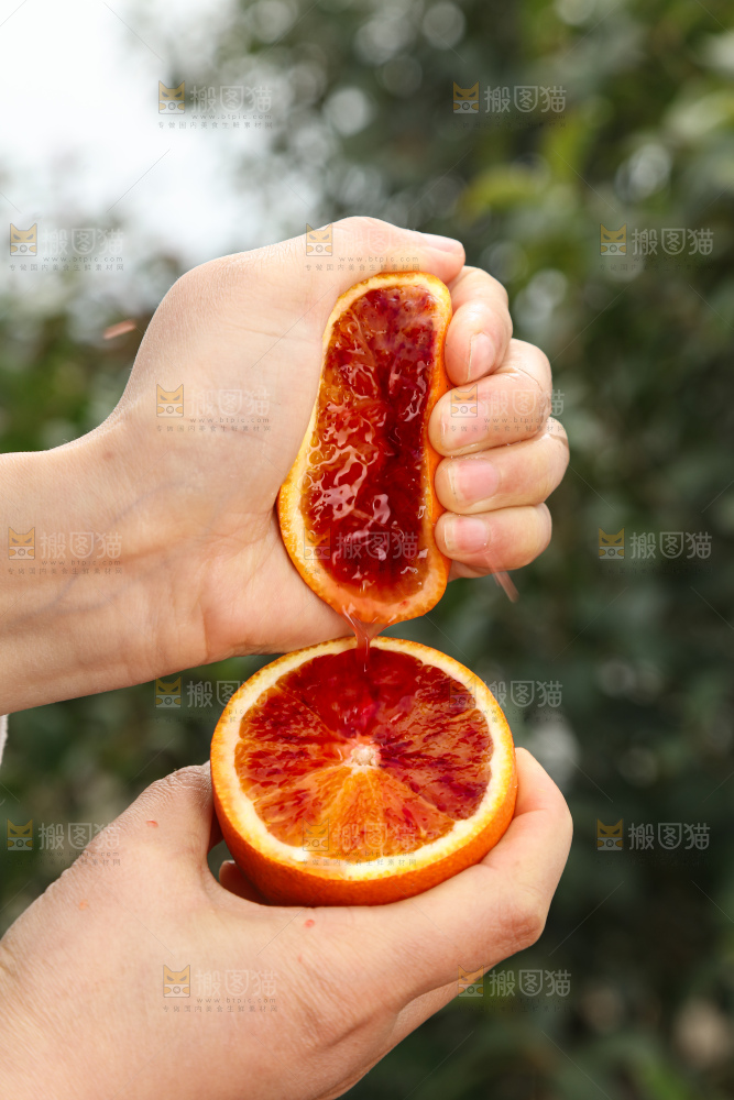 塔罗科血橙