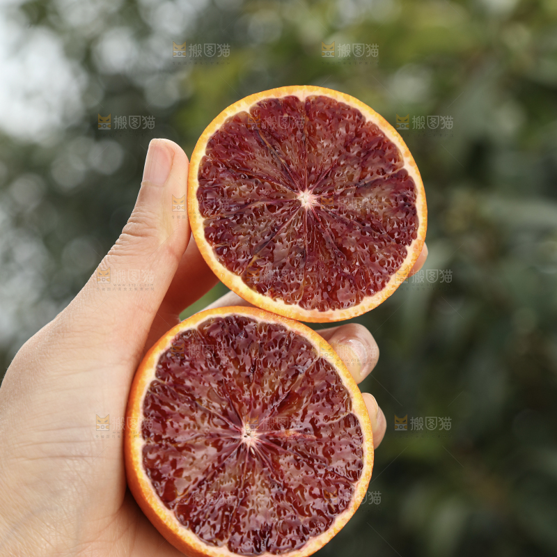 塔罗科血橙