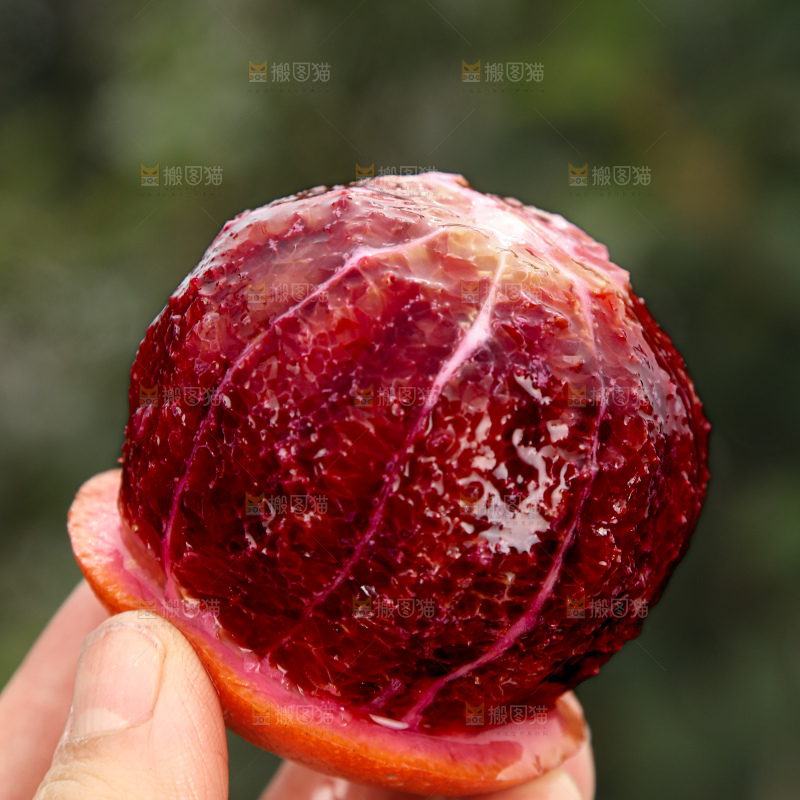 塔罗科血橙