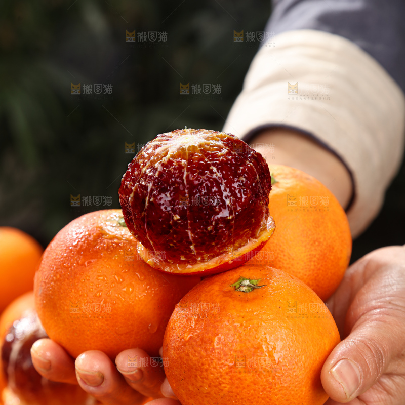 塔罗科血橙