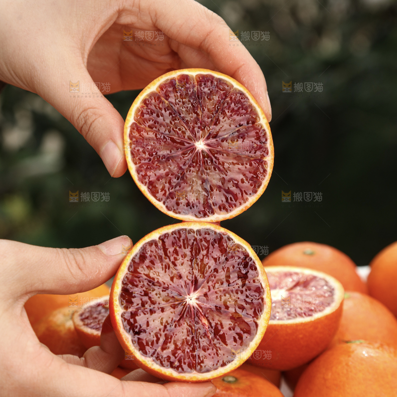 塔罗科血橙