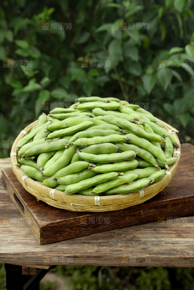 蚕豆