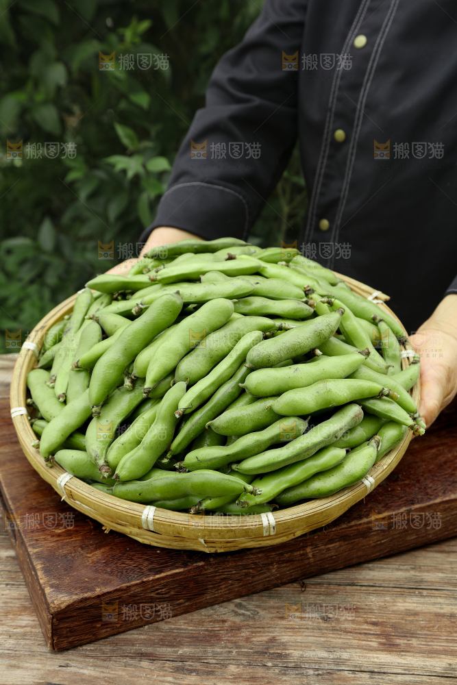 蚕豆