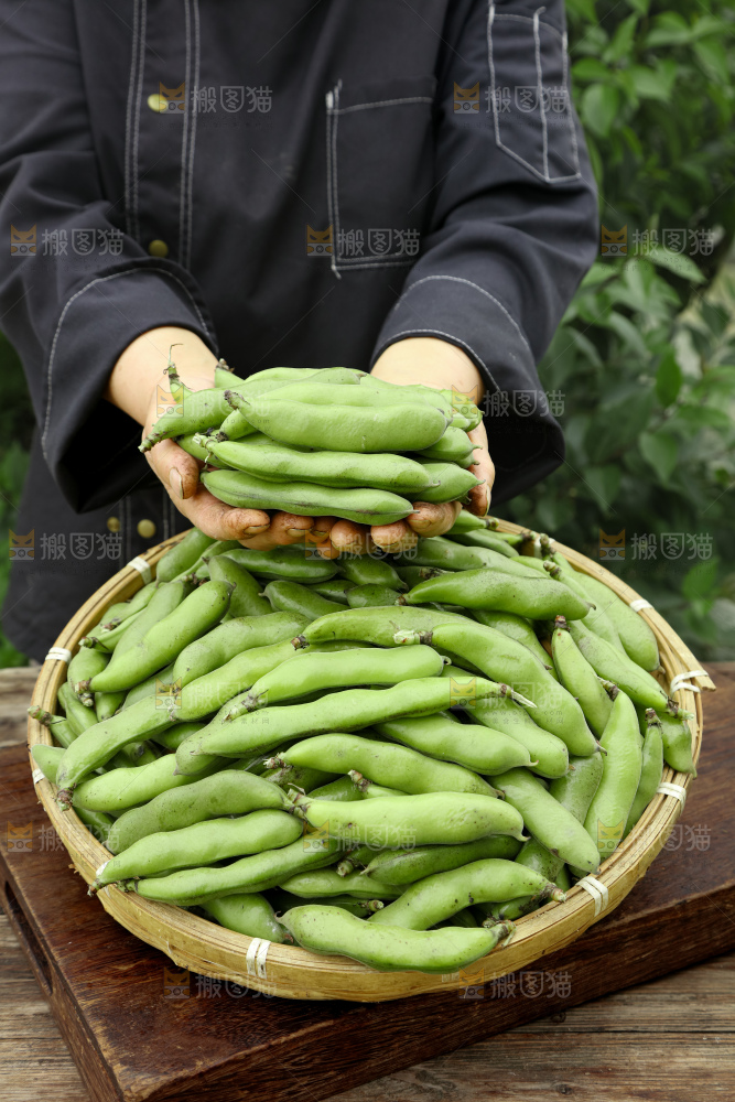 蚕豆