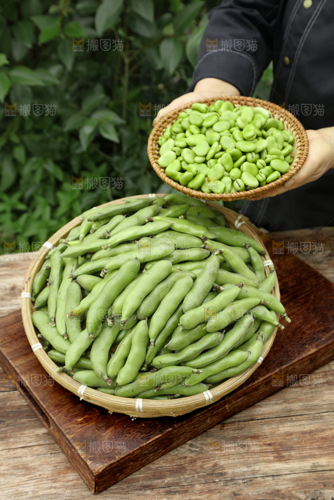 蚕豆
