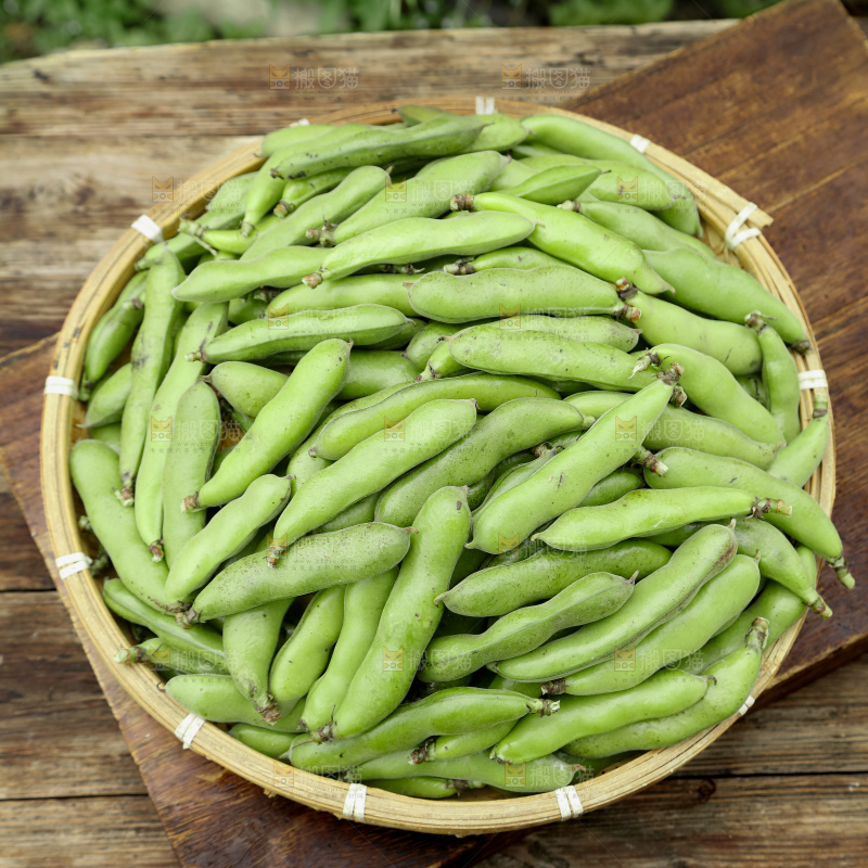 蚕豆