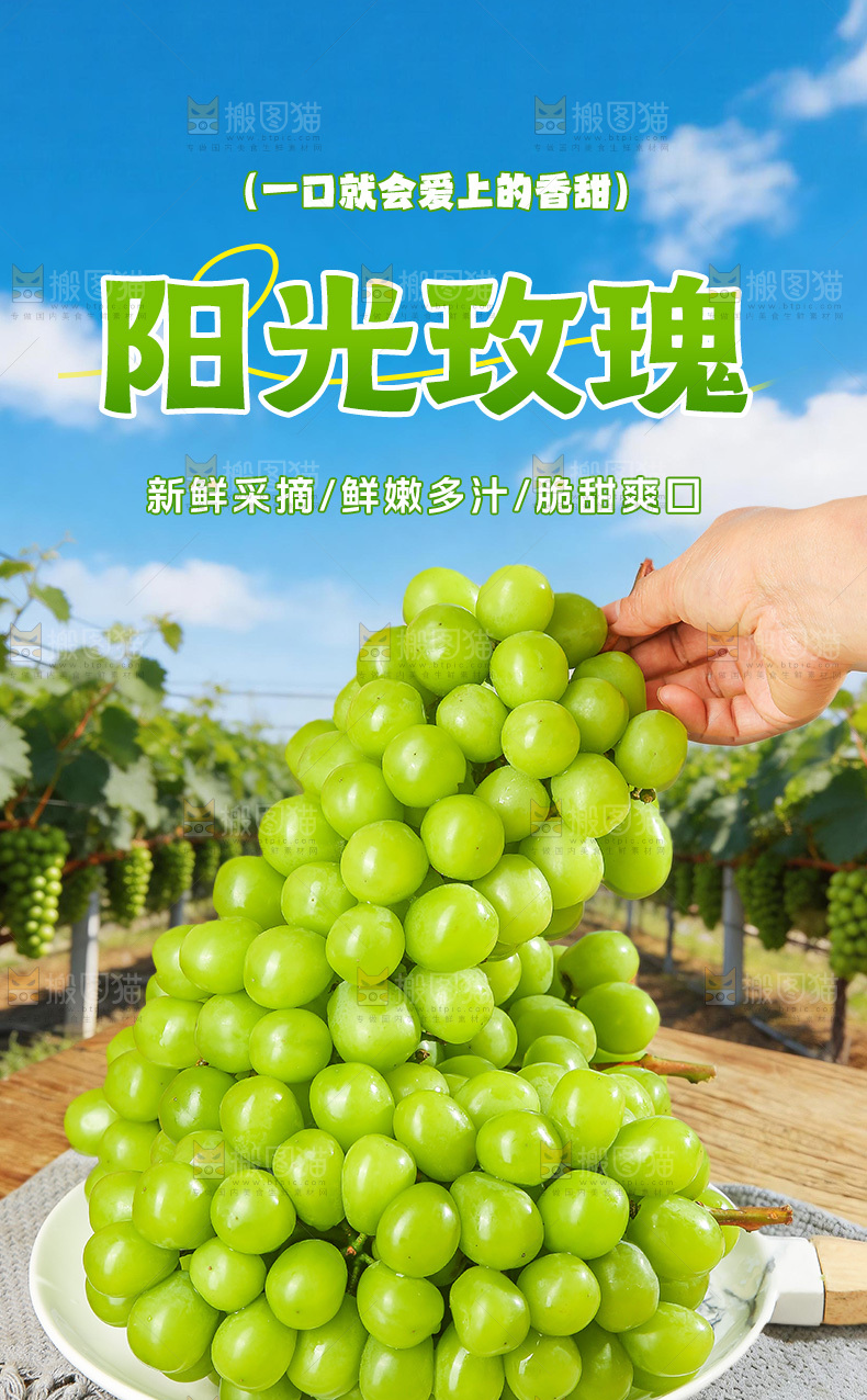 阳光玫瑰青提详情页