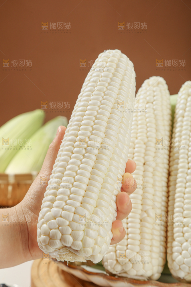 白糯玉米