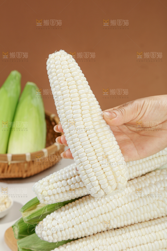 白糯玉米