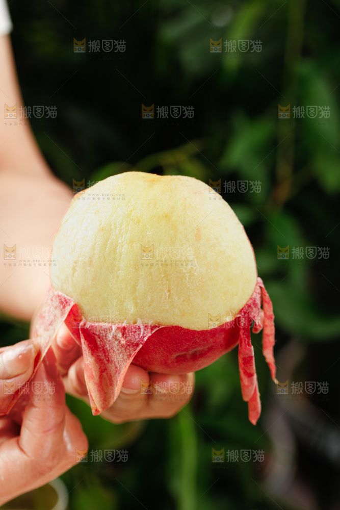 水蜜桃
