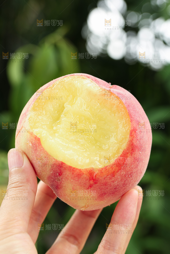 水蜜桃