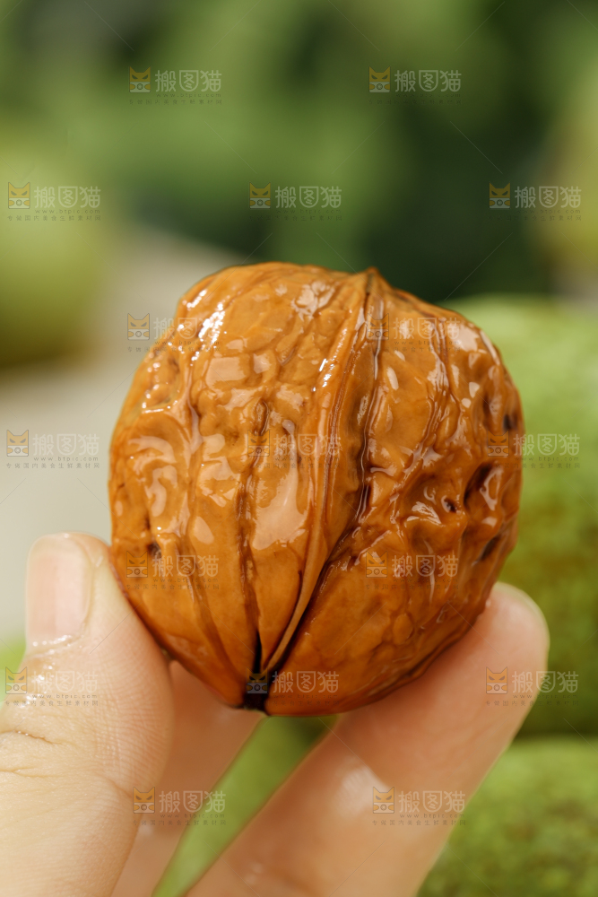 新鲜核桃